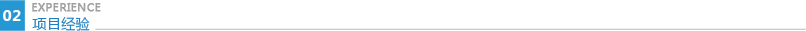 項目經驗.png
